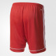 ADIDAS SQUADRA 17 SHORT TRENKY PÁNSKÉ - Červená, Bílá č.3