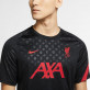 NIKE LFC M NK BRT TOP DRES FC LIVERPOOL PÁNSKÝ - Černá, Červená č.6