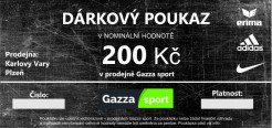 DÁRKOVÝ POUKAZ WEB 200,- Kč