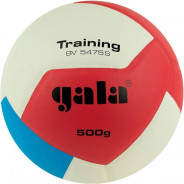 GALA MÍČ VOLEJBAL BV5475S TRAINING 500g